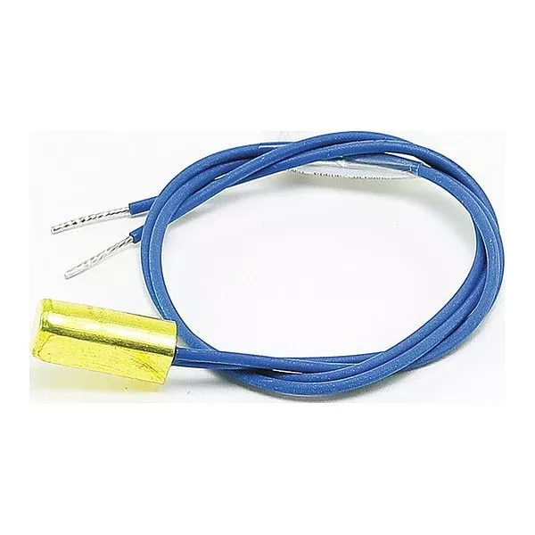 010787F Raypak Water Sensor