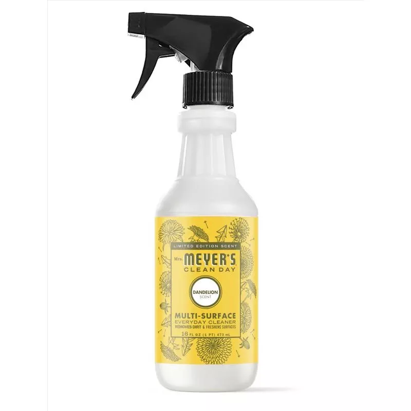 16OZ Dand MS Cleaner