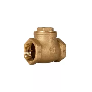 Everflow 210T001 1" IPS Brass Swing Check Valve