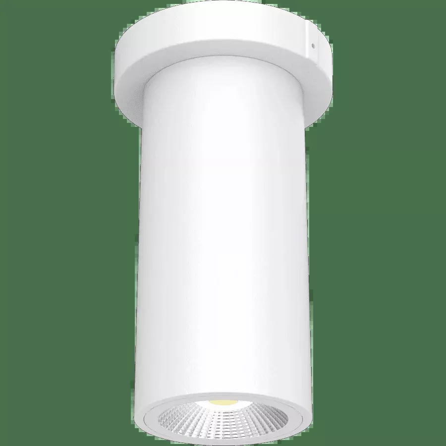 RAB CD34-3SP 10W 3" Cylinder Surface/Pendant Mount Selectable Wattage