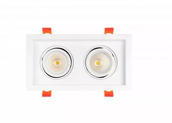 RAYHIL RAD2H 24W Dual Head LED Recessed Downlight 38° Selectable CCT