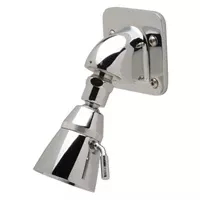 Zurn Z7000-i5 Temp-Gard Institutional Shower Head, 2.5 GPM